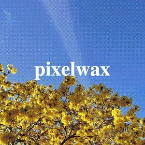 PixelWax 的头像