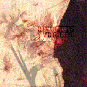 Rivulets and Violets 的头像