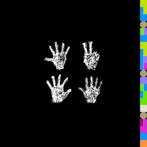 C O L O R S Q U A D 0 1 7