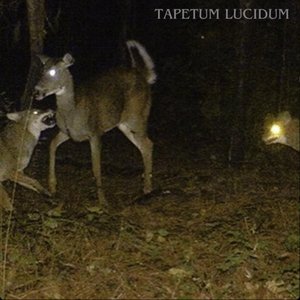 Tapetum Lucidum - EP