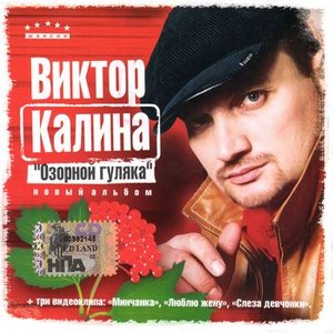 Озорной гуляка