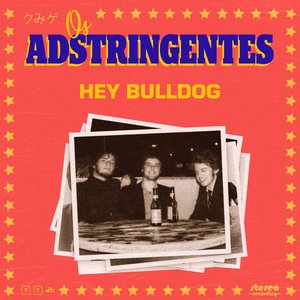 Hey Bulldog (Cover)