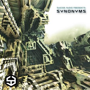 SYNONYMS LP (SA007)