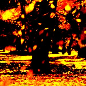 Ember