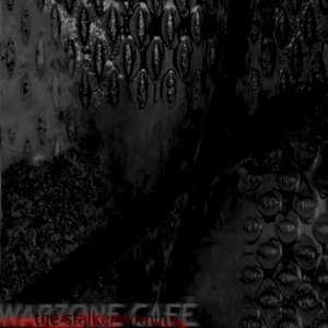 The Stalker Within