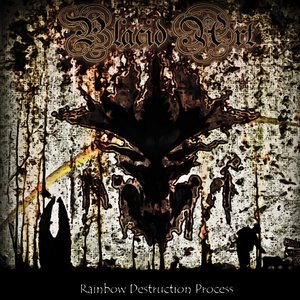 “Rainbow Destruction Process”的封面