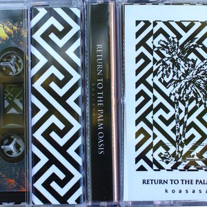 Return to the Palm Oasis