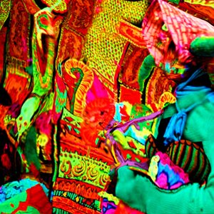 Avatar for Caroliner