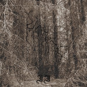 II
