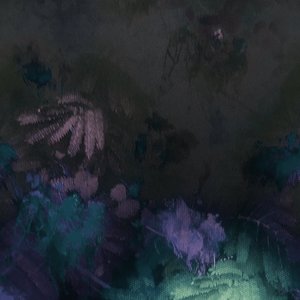Silcasoid Beats II: Rainforest Spirits