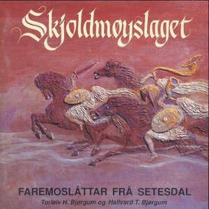 Skjoldmøyslaget