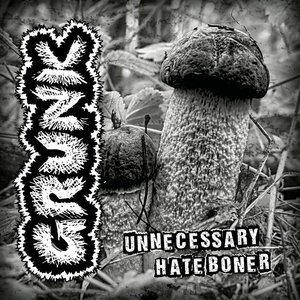 Unnecessary Hate Boner