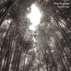 Tiny Fugues