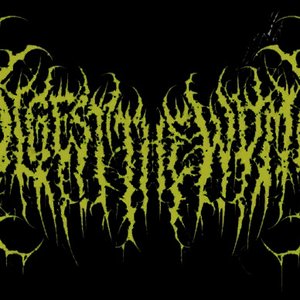 Digest The Womb 的头像