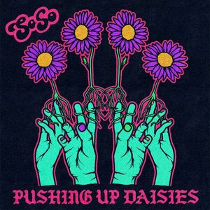 Pushing Up Daisies - Single