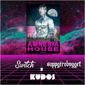 Amnesia House 2018