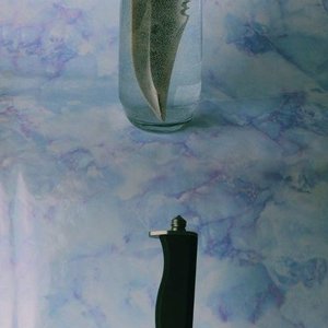 Beloved Women's Milk 的头像