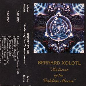 Return of the Golden Mean cover