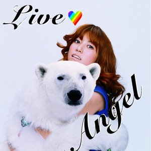 hitomi LIVE TOUR 2005 Love Angel