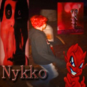 “Nykko”的封面
