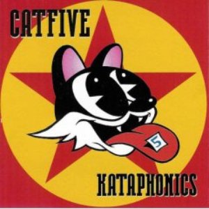 Catfive 的头像