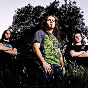 Avatar for Isolation In Infamy