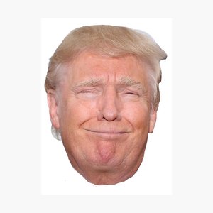 Trump Rocks 的头像