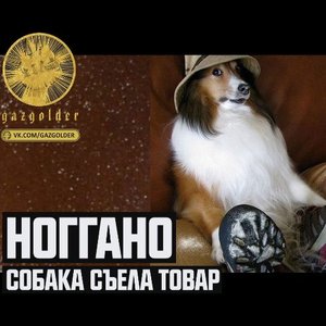 Image for 'Собака съела товар'