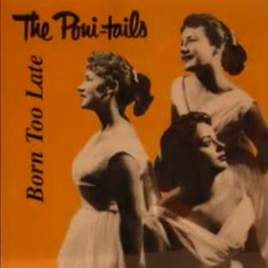 The Poni-Tails - The Ultimate One Hit Wonders Collection - Side A - Zortam Music