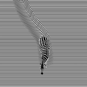 ECHOES