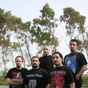 Avatar for Weeping Willow [Leb]