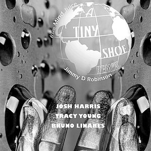 A Tiny Shoe - Remix (feat. Josh Harris, Tracy Young, Bruno Linares)