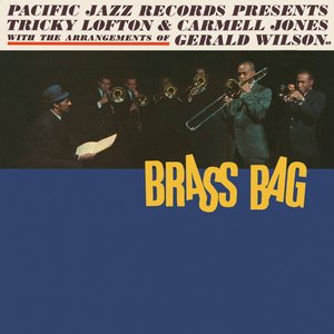 Brass Bag cover