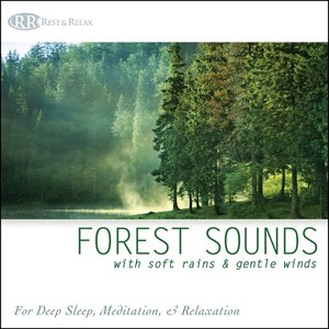 Forest Sounds with Soft Rains & Gentle Winds: Nature Sounds for Deep Sleep, Meditation & Relaxation