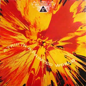 Wild Silk - A Trip In A Painted World - Rubble Collection 17 - Remastered - Zortam Music