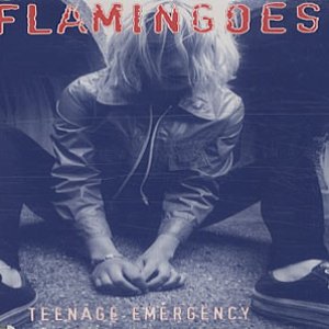 Teenage Emergency