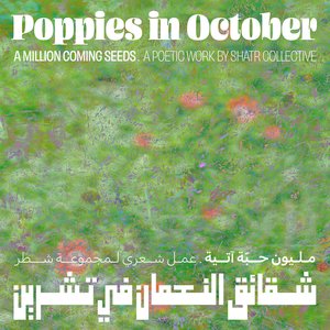Poppies in October
