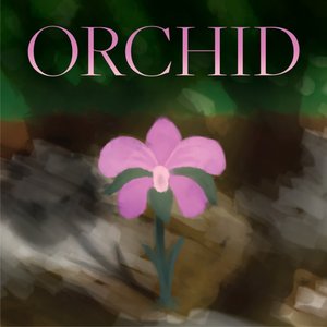 Orchid