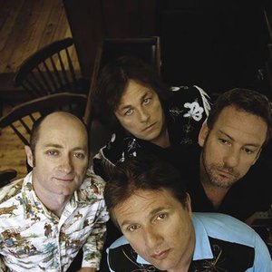 Le Hoodoo Gurus 的头像