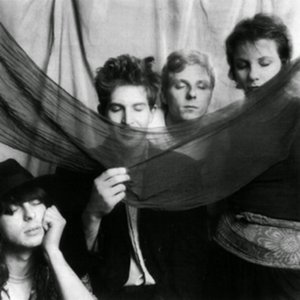 The Dream Syndicate 的头像