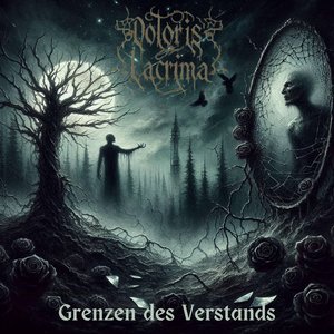 Grenzen des Verstands