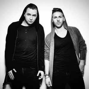 Divolly & Markward 的头像