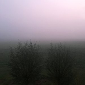 Woodpaths