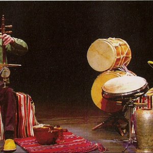 Saeed kamjoo & Ziya Tabassian 的头像