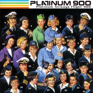 Platinum Airways Flight 900