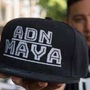 Avatar de Adn Maya Colectivo