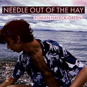 Needle Out of the Hay - Single