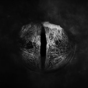 Crux - Single