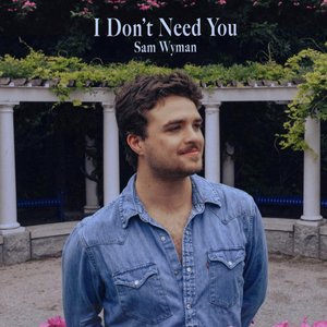 I Don't Need You