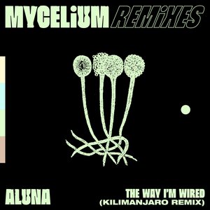 The Way I’m Wired (KILIMANJARO Remix) - Single